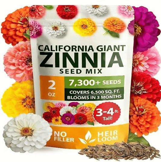 🔥Zinnia Seeds - Pure Seeds - No Filler -Heirloom Flower Seeds
